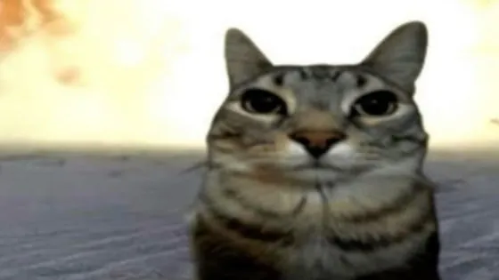 czannn
