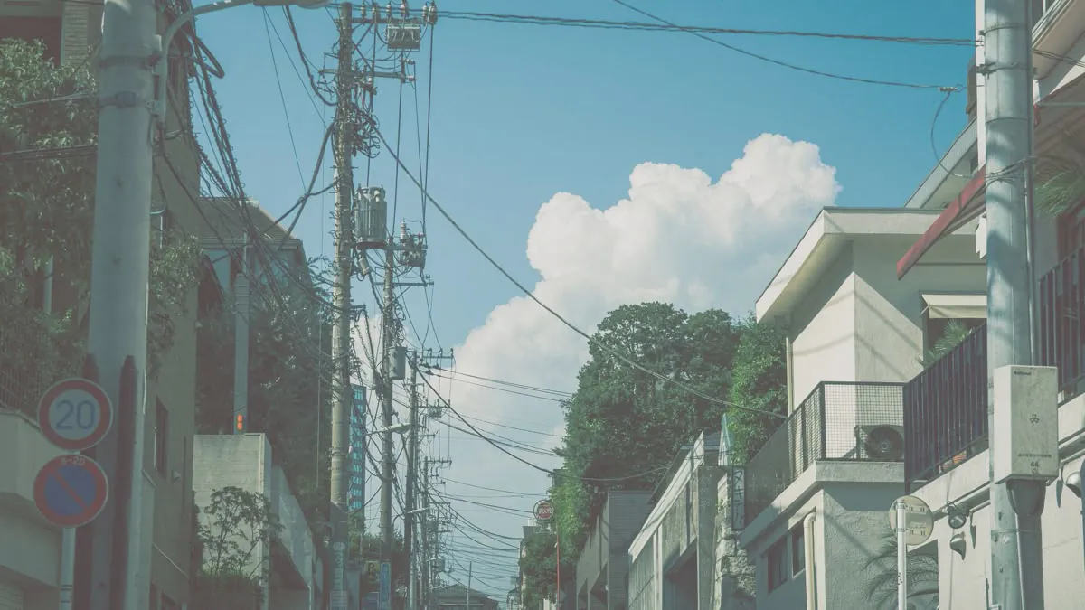 mafuyuht