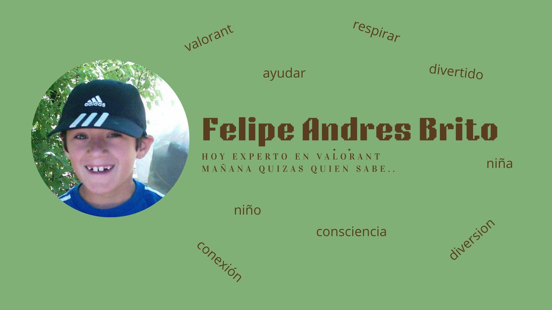 feli999e