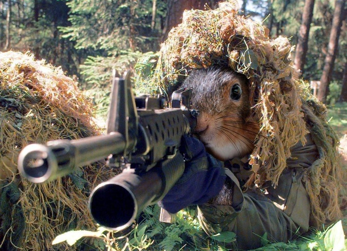 SquirrelyOne