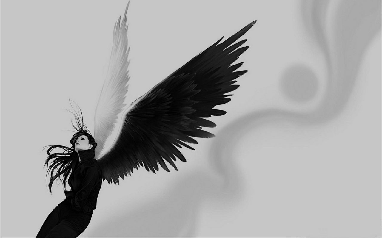 Kick banner for @vault