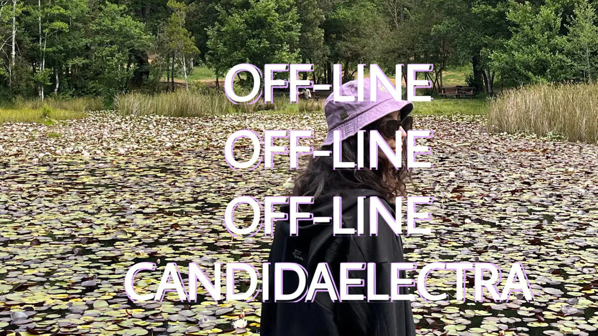 candidaelectra