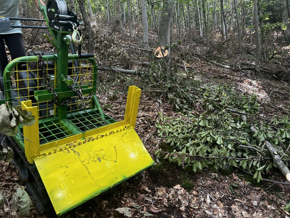 foresdeere