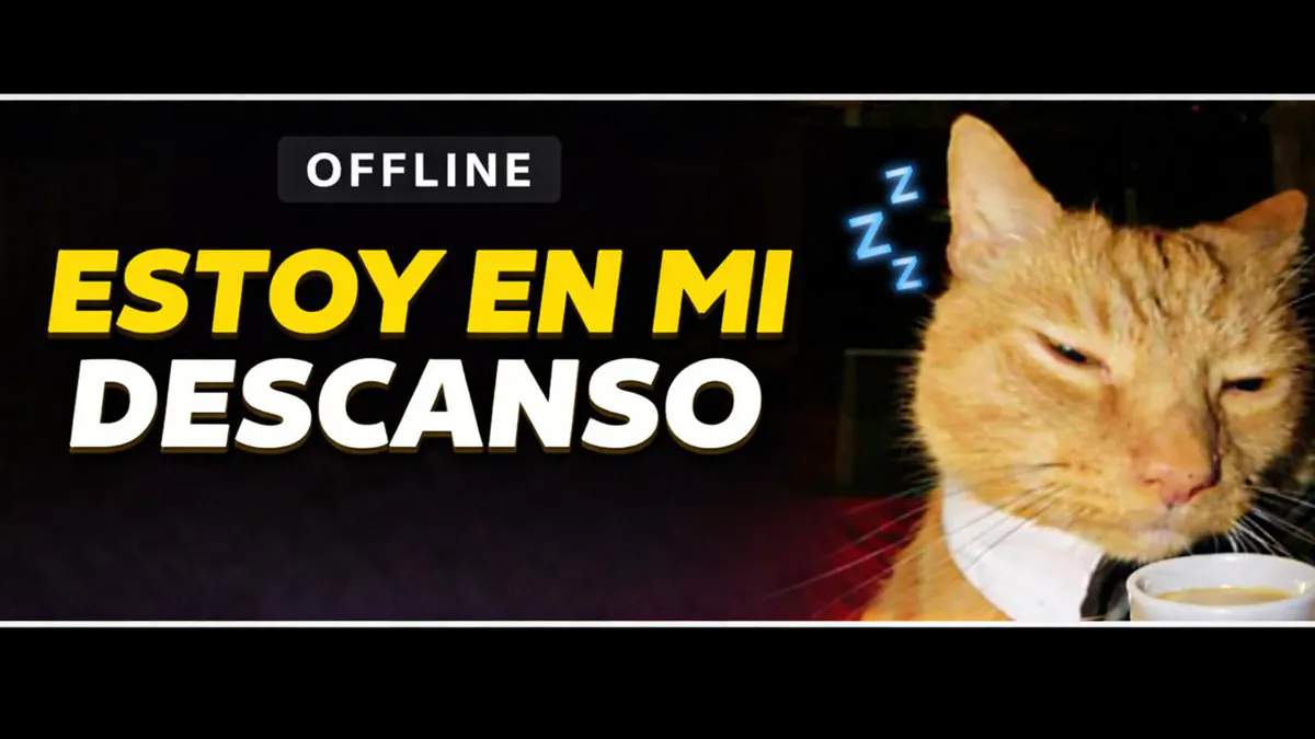 Chamox1