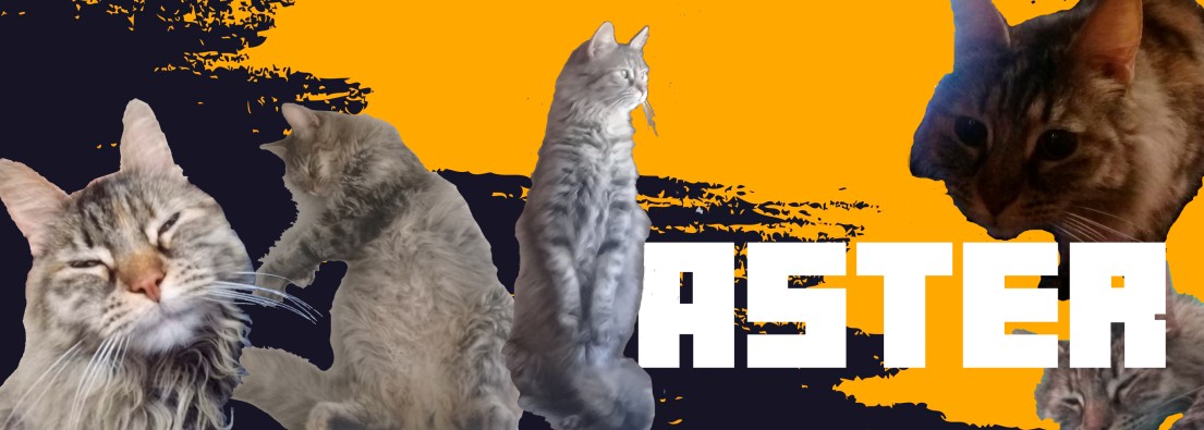 MishAster