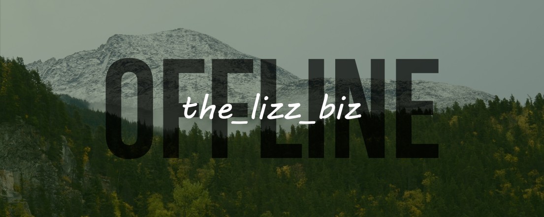 the_lizz_biz