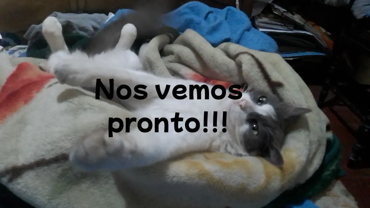 Ytnass