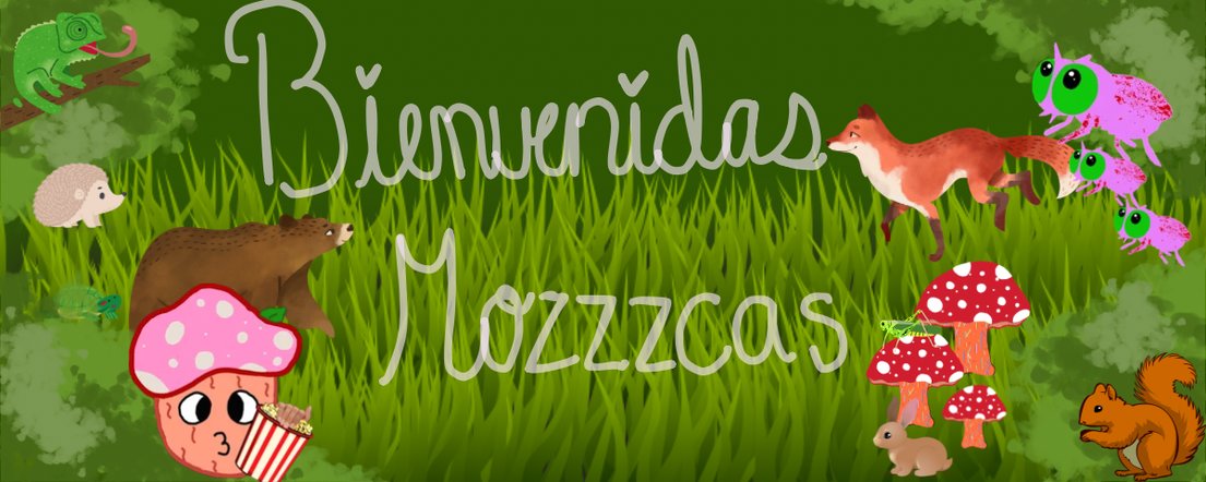 SoyMuscaria