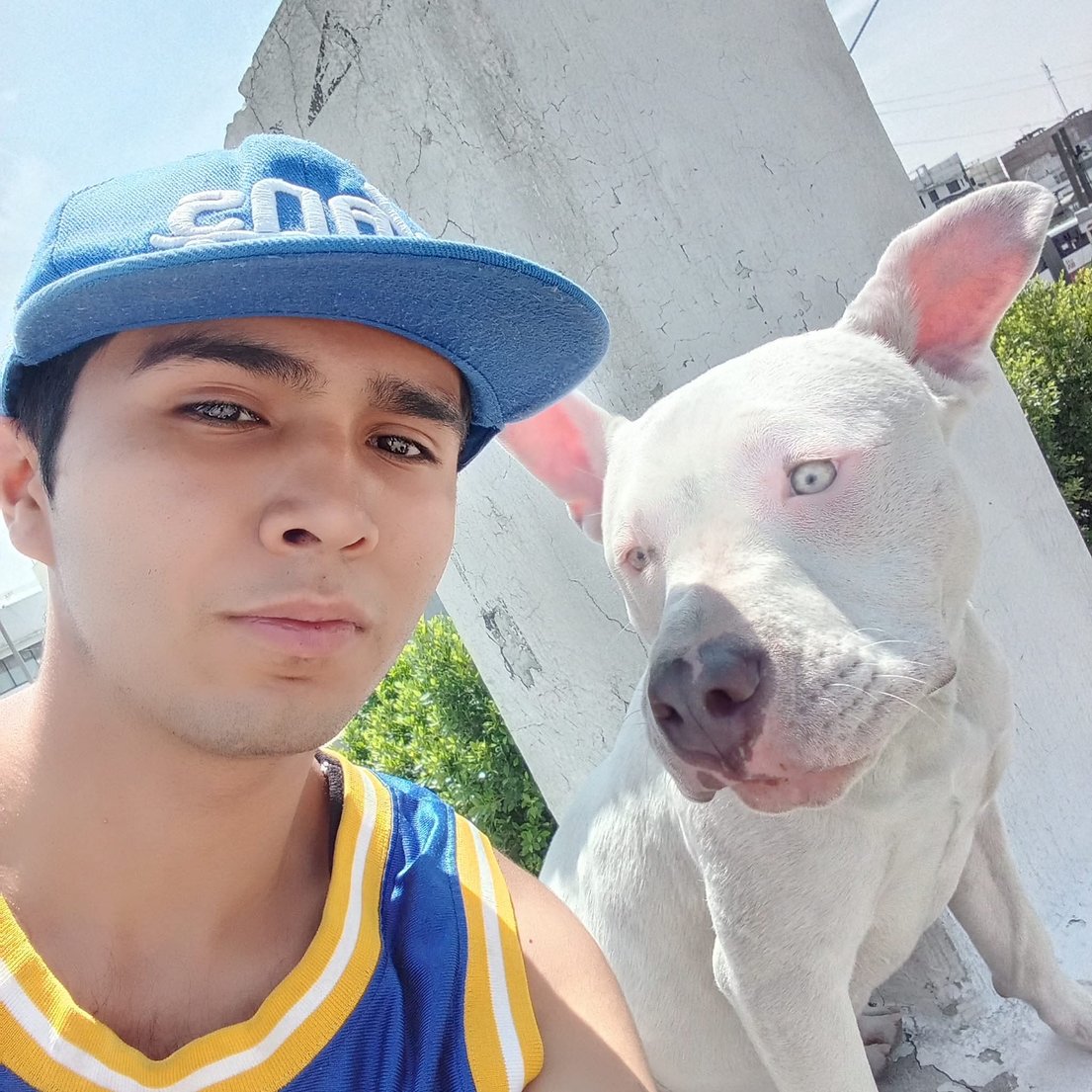 El_Patron_Del_Mal666
