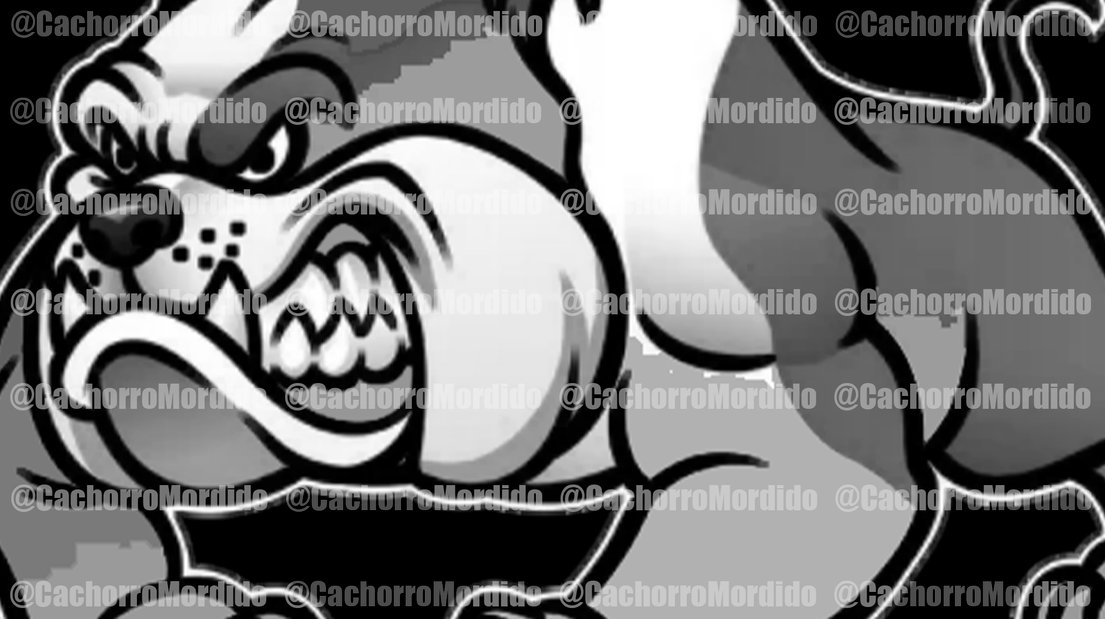 CachorroMordido