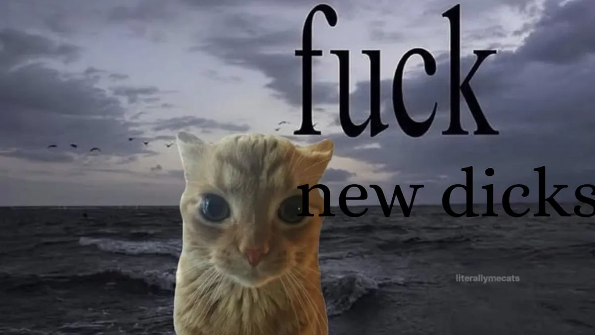 NewDeeks