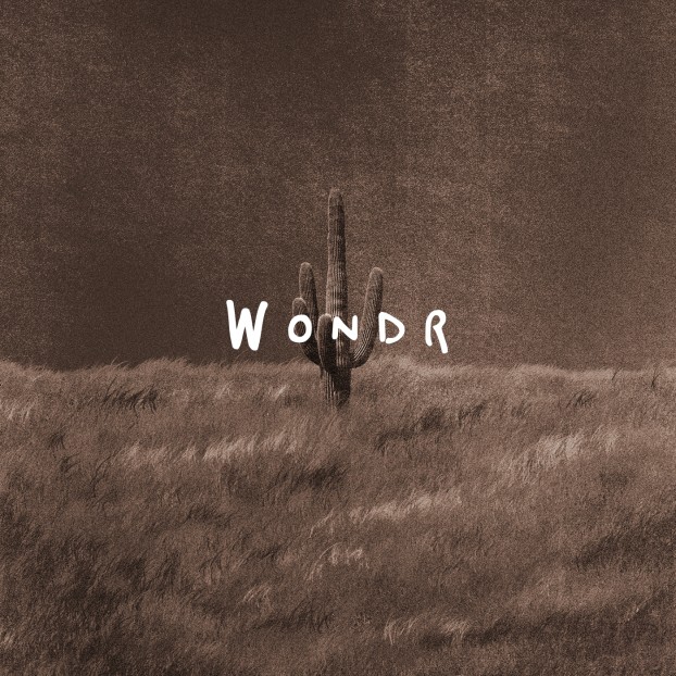 Wondr