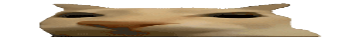 Kick banner for @fish