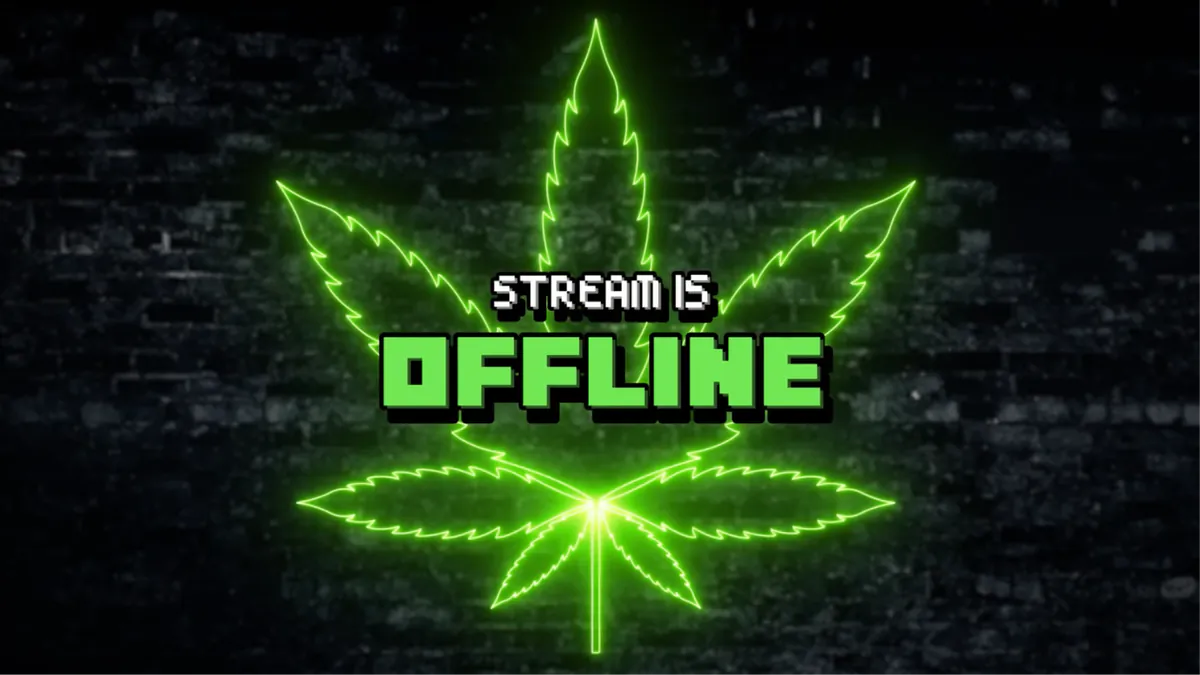 Mr420allday313