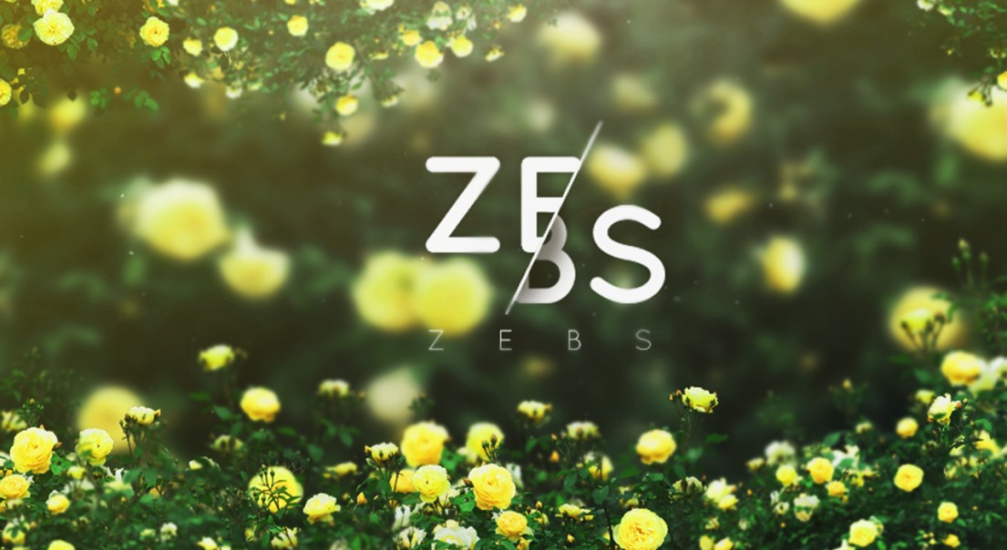 ZebsLIVE