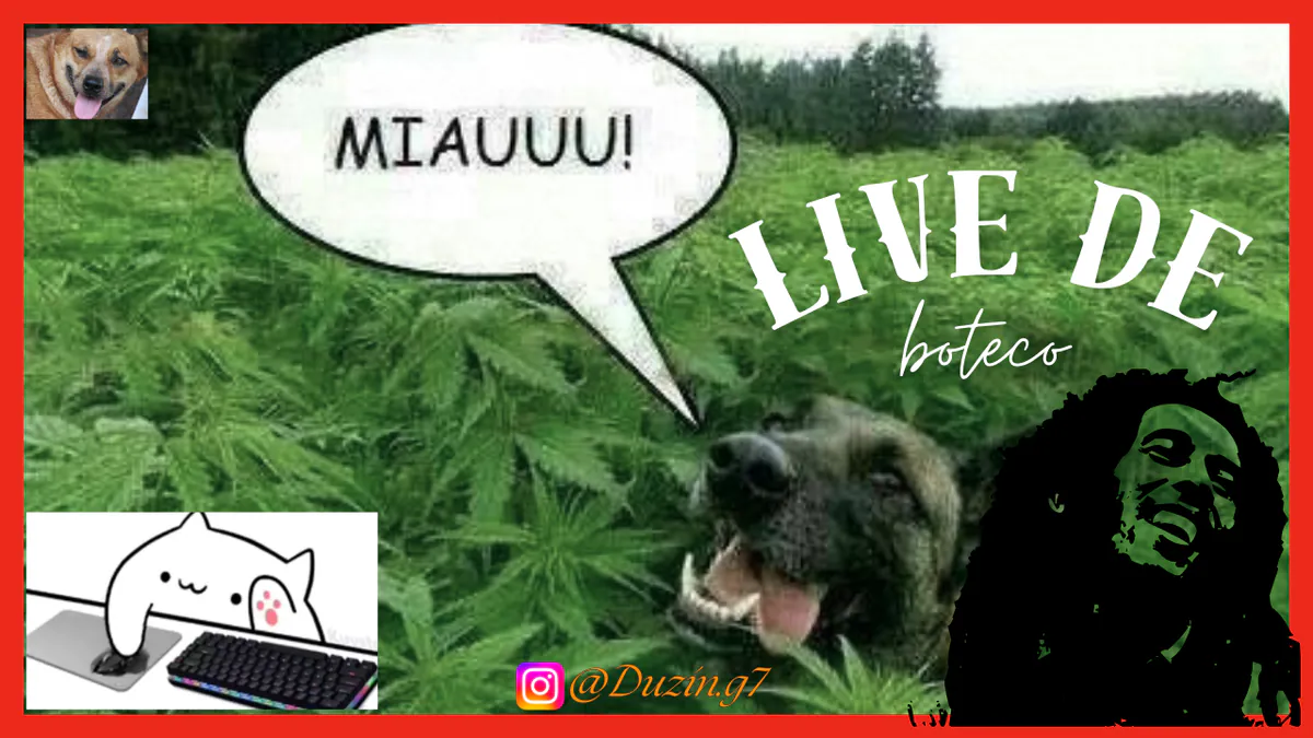duzingo7