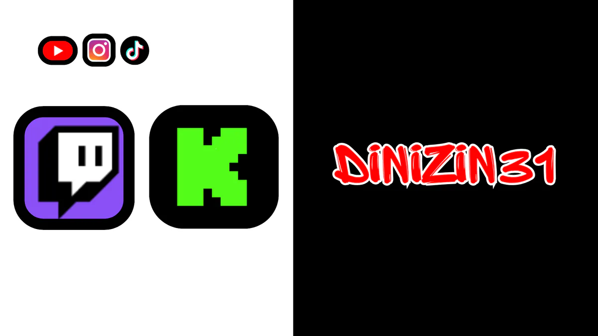 Dinizin31YT