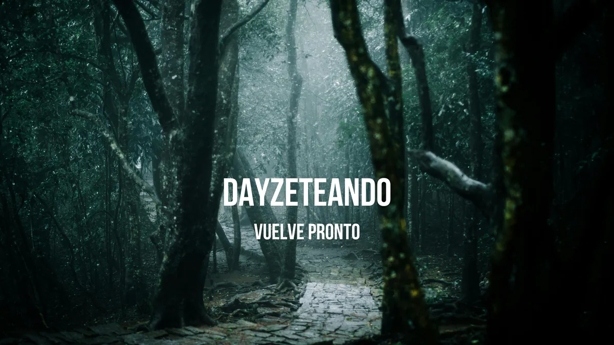 DayZeteando