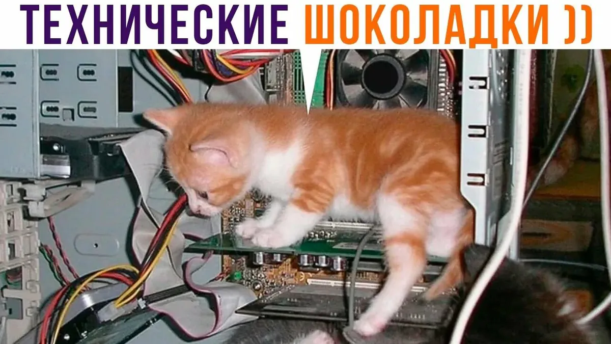 Grisha_Moongoal