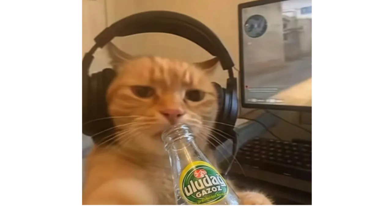 AtakanNoyann