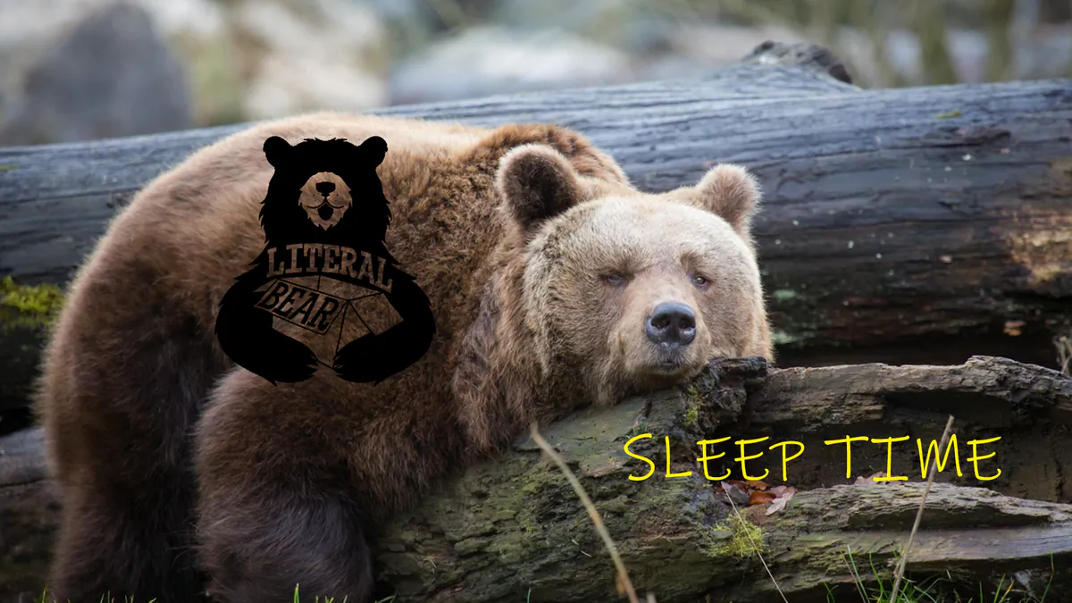 LiteralBear