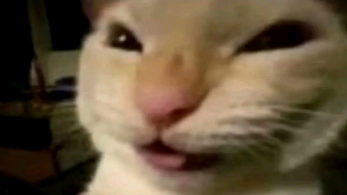 snoopylie