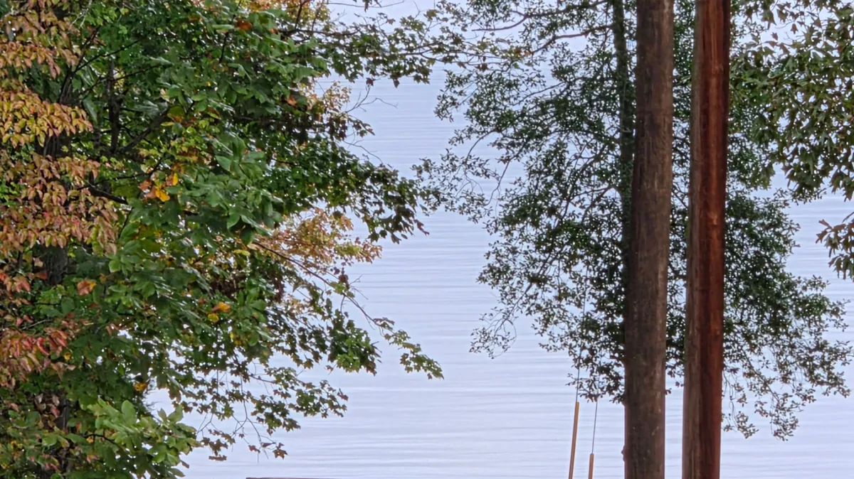 BeautifulDisasterog