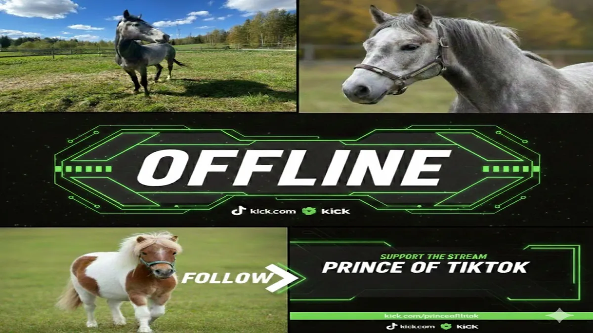 PrinceOfTiktok