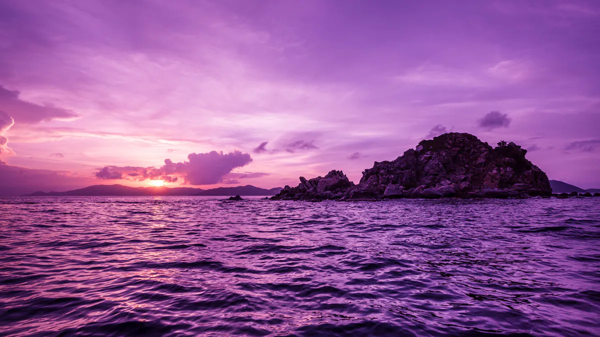 Sunset_Rogue