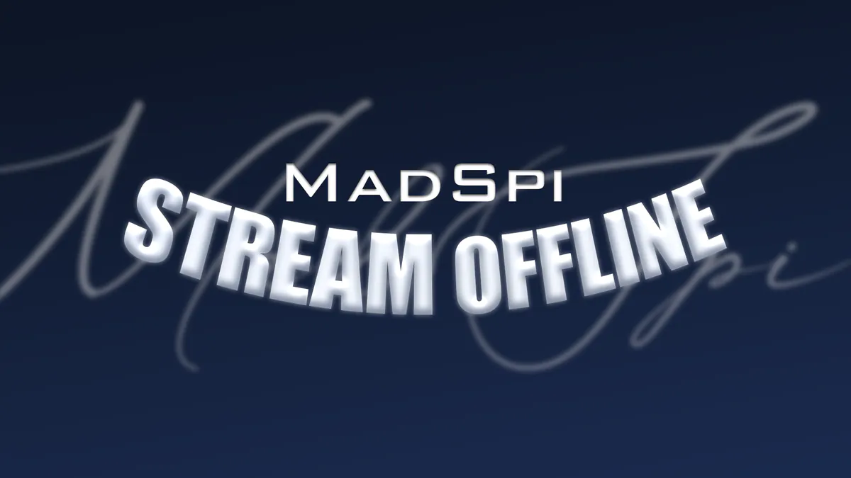 TheMadSpi