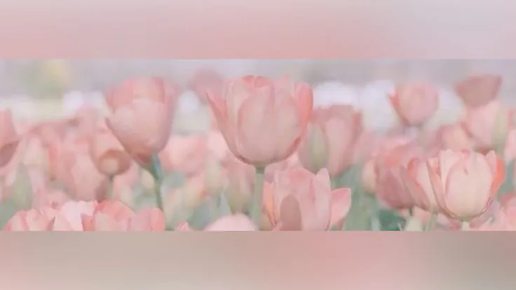 klto_o22