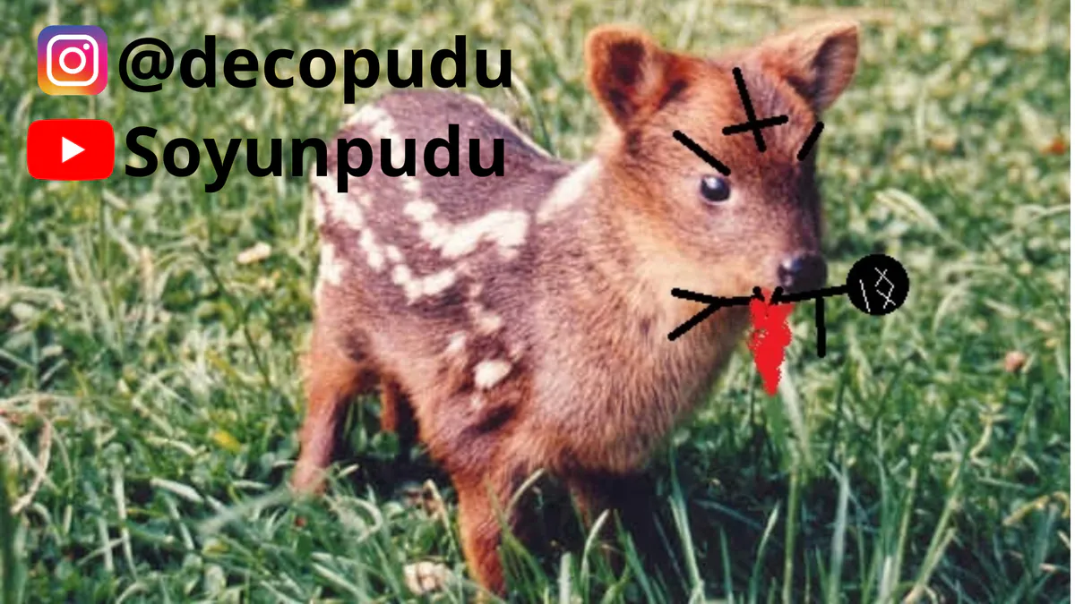 ElPudu666