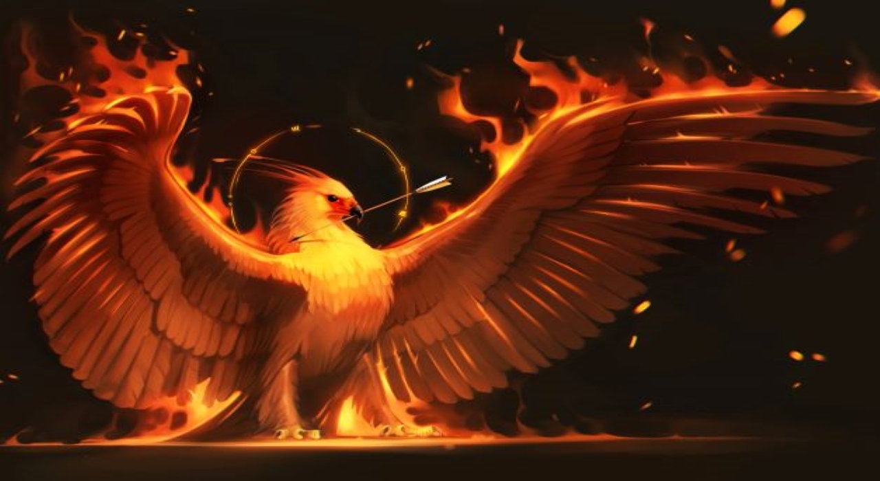 Kick banner for @firebird
