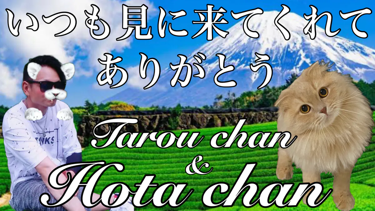 Hotachan