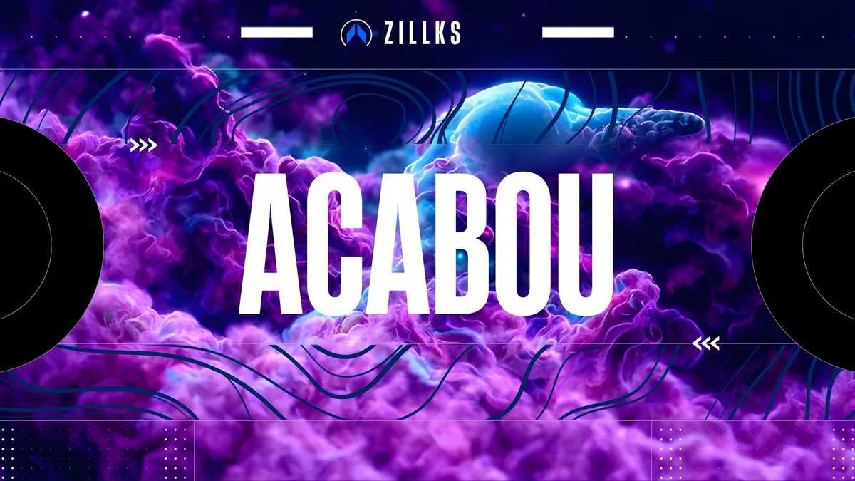Zillks