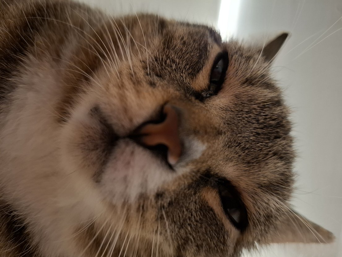 AznTK