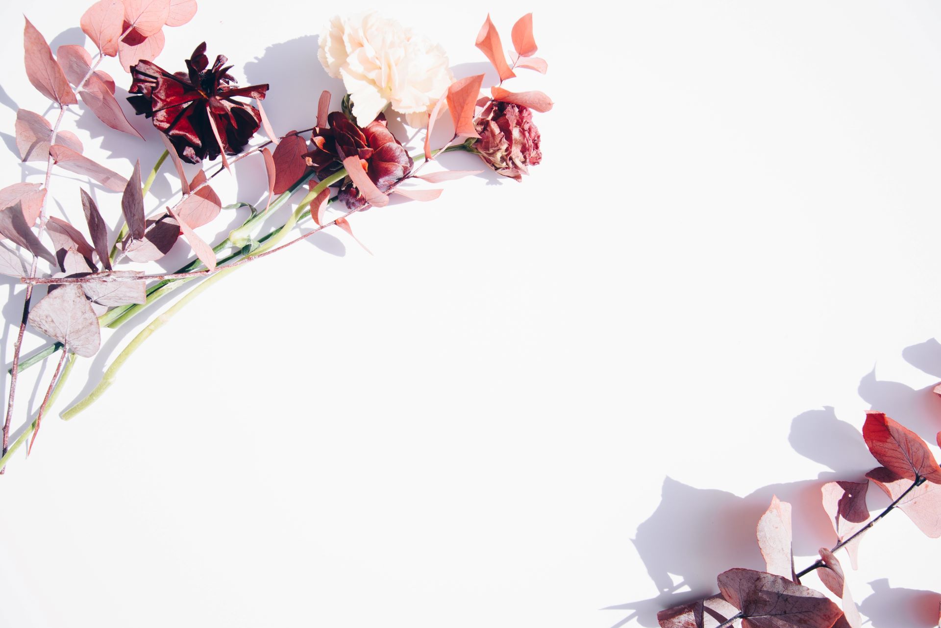 Kick banner for @joanna