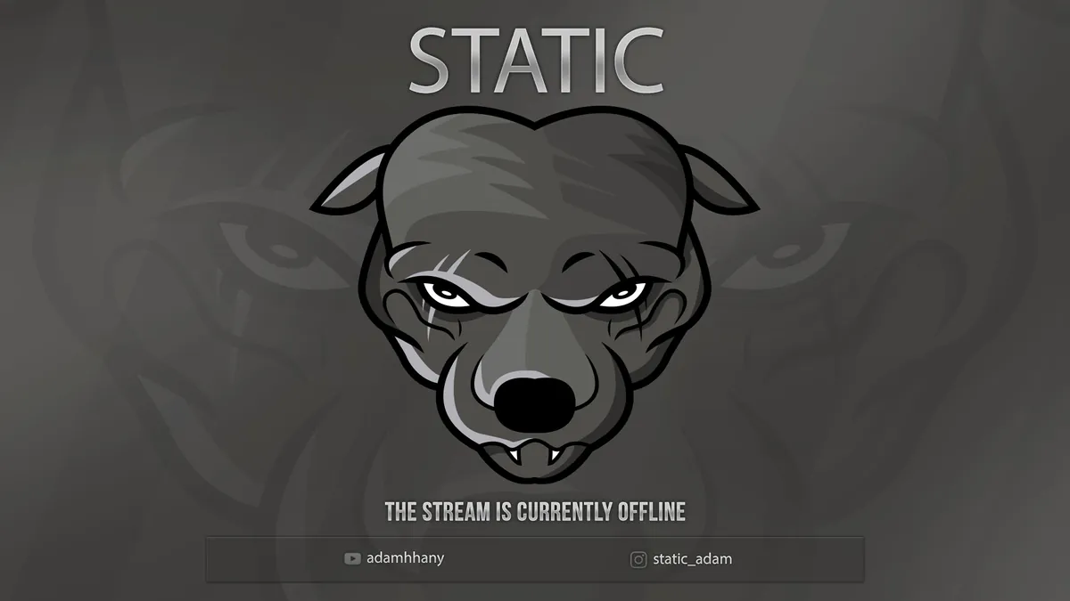 static_adam