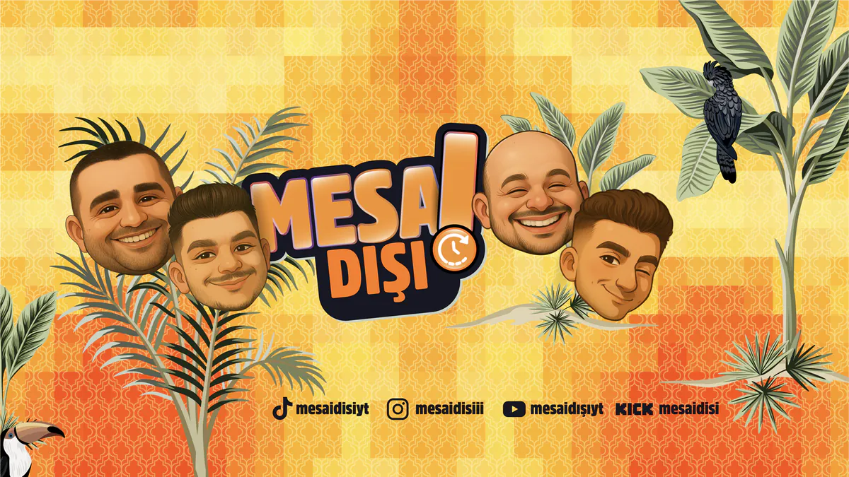 mesaidisi