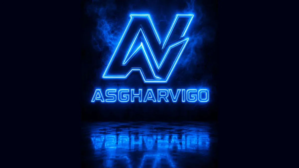 AsgharVigo