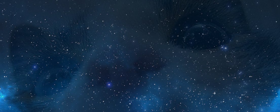 SoyElvis27