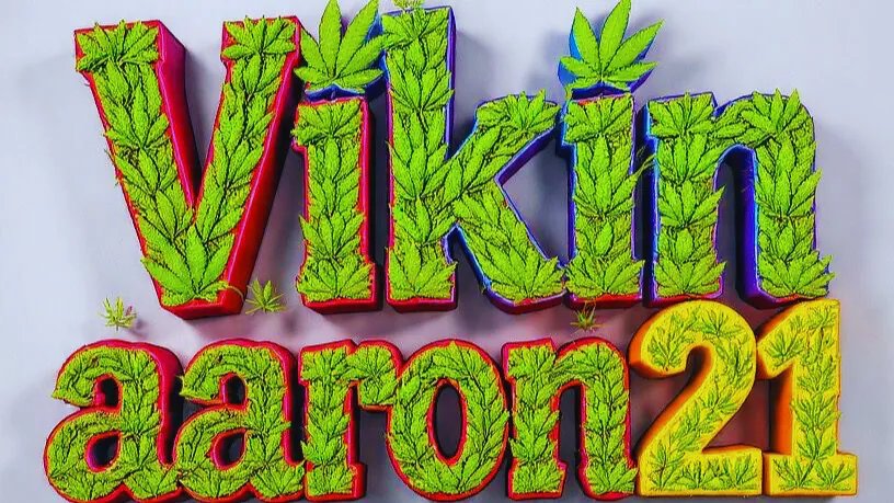 vikinaaron21