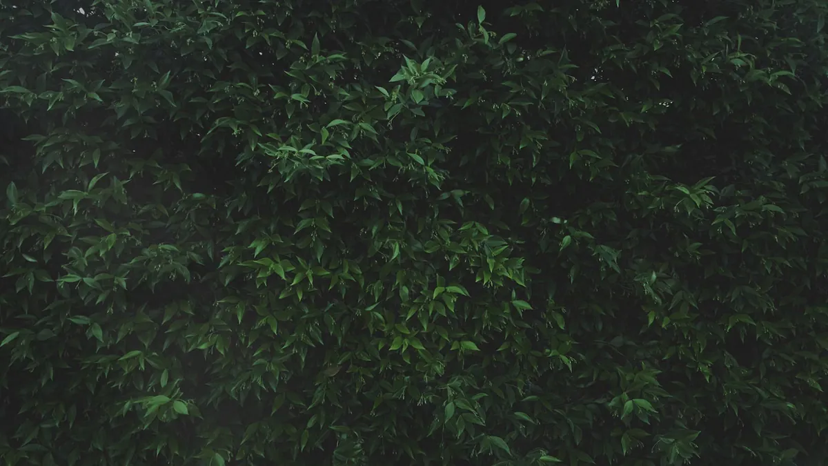 Slow0336