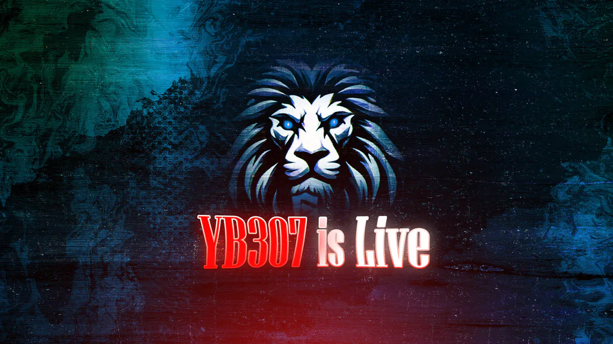 YB307