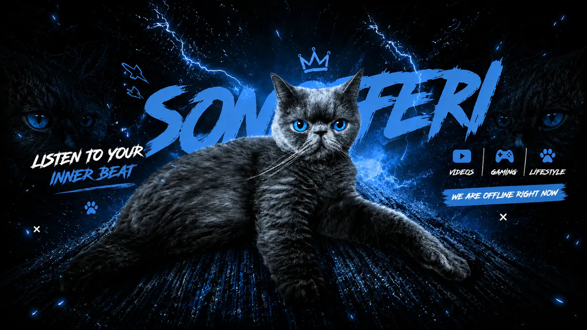 sonoferi