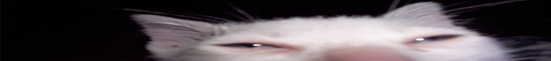 gyaness