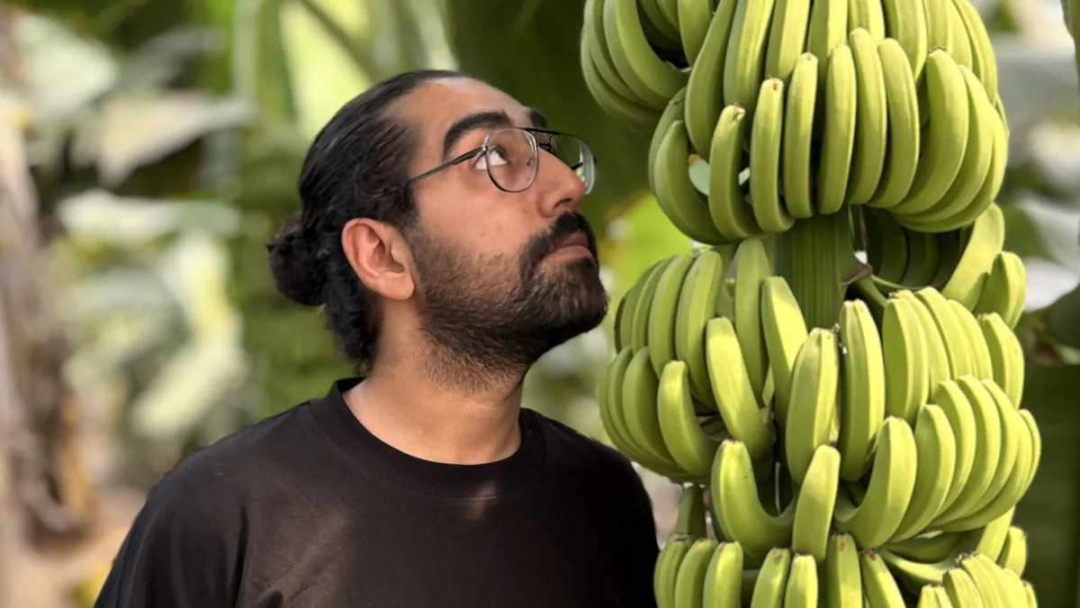 Mim_Ahmadi
