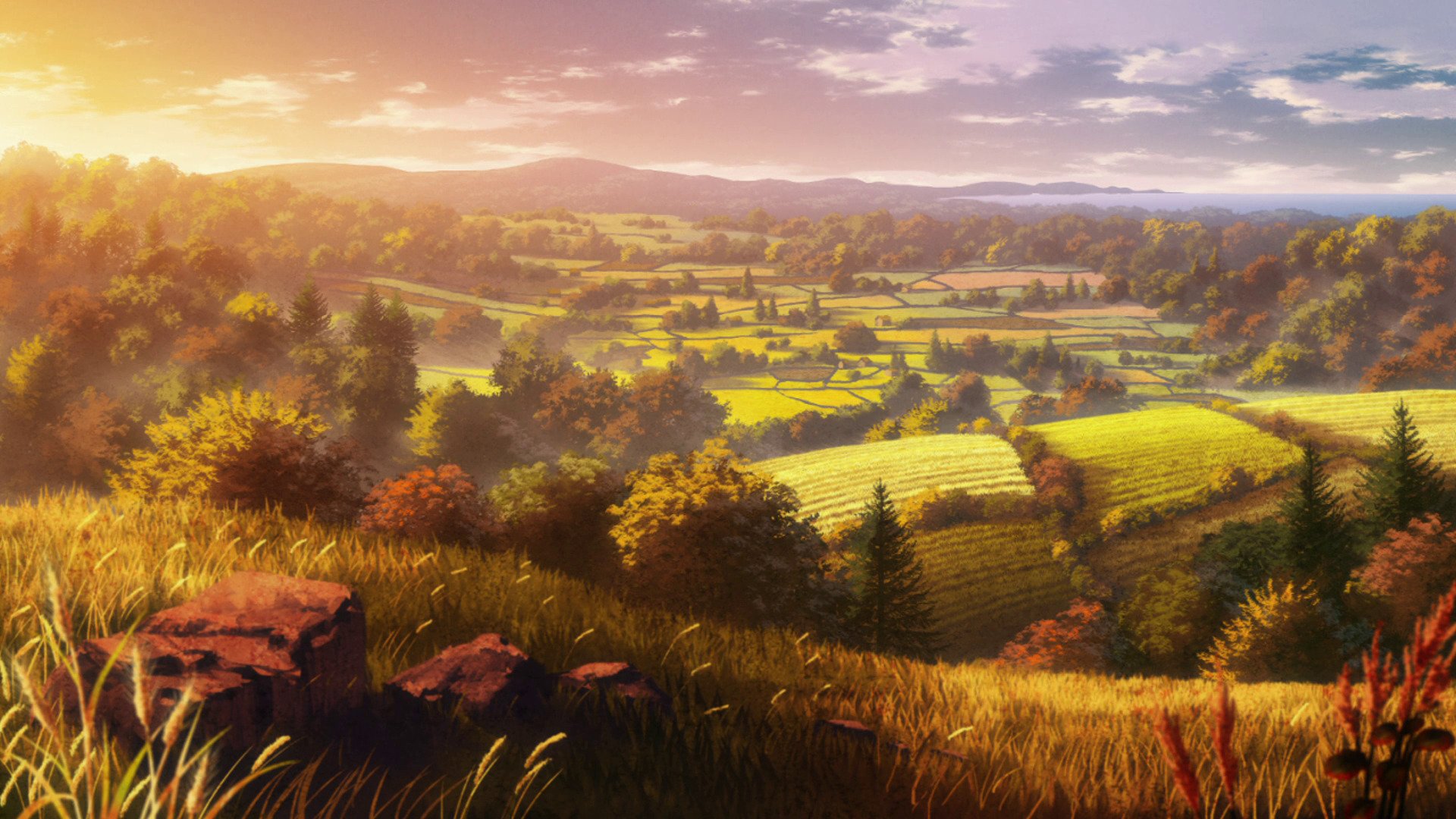 Kick banner for @saga