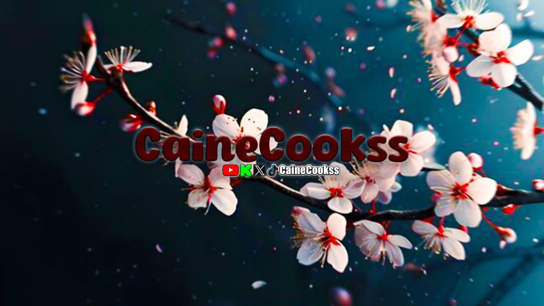 CaineCookss