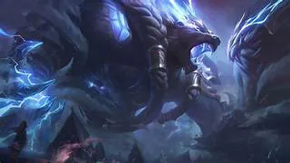 gustavoduartez